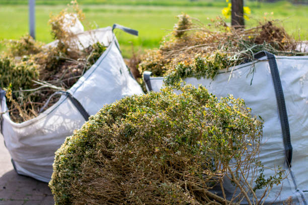 Best Moving and Downsizing Cleanouts  in Malta, IL
