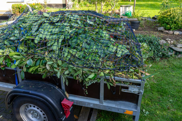 Best Furniture Removal  in Malta, IL